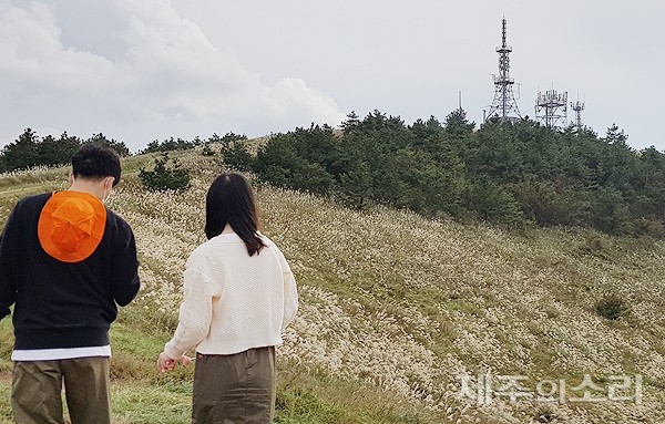 한라레이더, 한라산 고지대에서 항공기 안전 감시 담당, 정확한 관제 실현하여 제주 남단 비행 안전 지킴