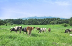 제주 6차산업 발전기반 마련한 이성철 대표, 농림부 장관상 수상