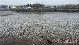 63년 만에 물 뺀 제주 수산저수지 바닥 들여다보니…