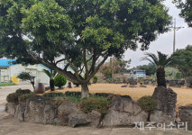 서귀포시 말·소·돼지·닭·오리, 깨끗한 축산농장 찾습니다