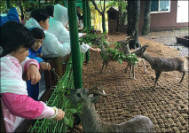 알파카-라쿤 등 야생동물 전시 금지...노루생태관찰원은?
