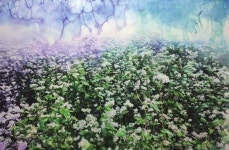 김필경 작가, 13일까지 제주문예회관서 풍경의 잔상展