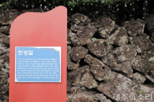 제주에만 있는 마을 총유재산 공동목장…보전 위한 특수성 이해 절실