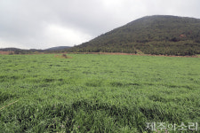 탐나는가치 맵핑 제주 구좌읍 하도리공동목장 도민참여단 모집