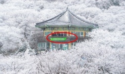 한라산 국립공원 1100고지 휴게소에 웬 프랜차이즈 편의점?