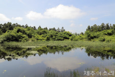 땅 사놓고 국가가 방치, 생태환경-교육 가치 묻힌 제주 덕천공동목장