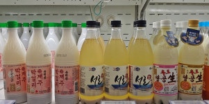 독주하는 제주산 생(生)막걸리 시장에 새로운 도전자들 등장!?