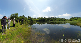 탐나는가치 맵핑 제주 구좌읍 하도리공동목장 도민참여단 모집