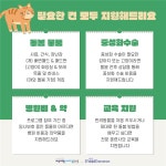 유기동물 없이 더불어 사는 제주 동물과 친구하개