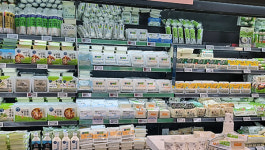 수입산 콩 습격에 제주산 끙끙 콩나물-두부 시장도 싹쓸이