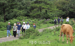 한라산 영실서 강정천까지 위기의 도순마을목장 보존 해법은?