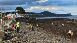 제주 이전 국세상담센터, 법환포구 해안 환경정화