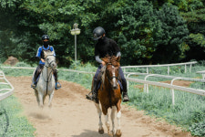만족도 높은 서귀포시 시민건강 힐링 승마 말산업 성장 이끈다