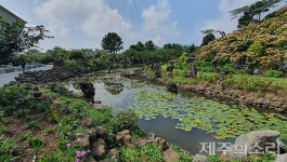 제주 셰프라인월드 인수한 제스코마트 동화마을로 새단장