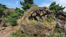 제주 셰프라인월드 인수한 제스코마트 동화마을로 새단장