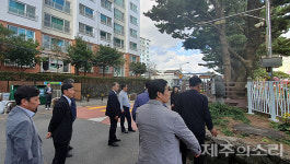 110년 아름드리 소나무 제거 논란 제주 서귀북초로 총출동