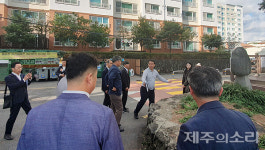110년 아름드리 소나무 제거 논란 제주 서귀북초로 총출동