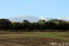 공유지 방심 못 해 임대료-사료값 부담에 명맥 잃어가는 마을공동목장