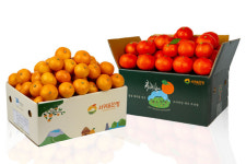 12월 1일 감귤데이 맞아 서귀포in정 30% 할인 기획전 