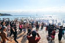 겨울 제주 바다 풍덩, 새해 첫날 국제펭귄수영대회 참가자 모집