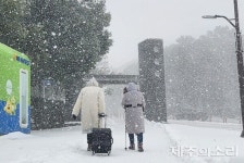30㎝ 폭설 제주 빙판길 안전사고 속출…항공기 228편 무더기 결항