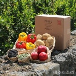 제철 농산물 꾸러미가 만든 시골마을의 기적…100년 가는 마을기업 만들 것
