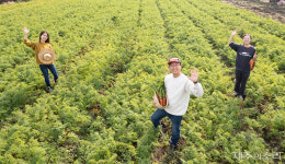 지금 제주 평대마을에 뭔 일이 있길래…반농반X 꿈꾸며 청년들이 모인다!