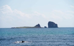 백록담부터 중산간, 오름에 해안·해저까지...이어진 제주 해안 경관