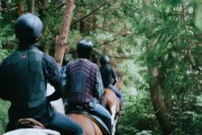 서귀포시 승마트레킹 농식품부 공모 선정…1인 최대 16만8000원 지원