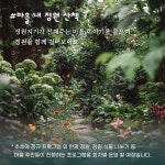 제주 선흘정원 음악회, 29일 저녁 제주 라프서 개최