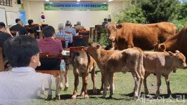 제주 고유 마을공동목장, 축산-비축산 현실 고려한 보전·활용 방안 윤곽
