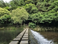 산림청, 아름다운 도시숲에 서귀포시 정모시 도시숲 선정