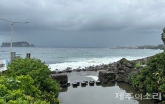 불법 영업 속골 계절음식점 성수기 지나 철거…올해도 봐주기 행정 논란