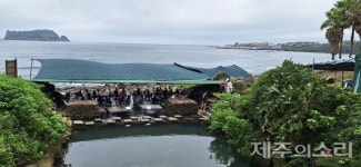 불법 영업 속골 계절음식점 성수기 지나 철거…올해도 봐주기 행정 논란