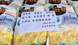 어김없이 돌아온 제주 노고록 아저씨, 추석 쌀 1000kg 기부 훈훈