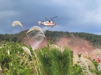 서귀포시, 오는 18일 동홍동 미악산서 산불진화 통합훈련