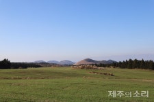 전국 초지 절반 보유한 제주, 관리·실태조사 이뤄진다