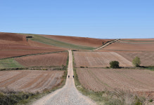 서귀포 레코드숍 예음사에서 루나 작가 여행사진전 개최