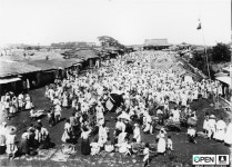 조선의 농우 품앗이와 우시장, 공동목장