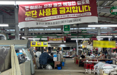 사용허가 취소 무더기 아니었나?…제주시민속오일시장 정상 영업중