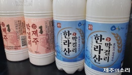 36년 독주체제 제주막걸리에 한라산막걸리 도전장