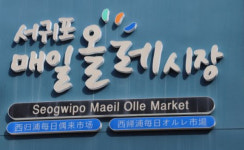 생기 넘치는 서귀포매일올레시장, 점포-야시장 매대 운영자 모집