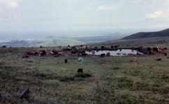 제주4.3과 한국전쟁, 격동의 시대 마을공동목장의 변화