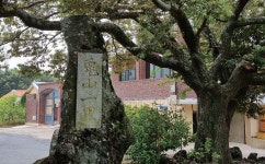 피부병 치유 일뤠할마님 모시는 표선 토산리 웃당