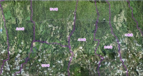 조림과 기업 중심 축산정책 변화 맞은 제주 마을공동목장