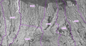조림과 기업 중심 축산정책 변화 맞은 제주 마을공동목장