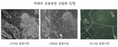 조림과 기업 중심 축산정책 변화 맞은 제주 마을공동목장