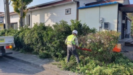 쓸고 닦고 점검하고 서귀포시, 설날 귀성·관광객 맞이 분주