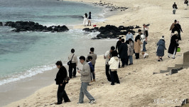 [현장] 승합차서 외국인이 우르르…불법 여행업에 제주 관광업계 울상