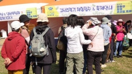 꺾으멍, 지꺼지게 제주 한라산 고사리 축제 26~27일 열린다